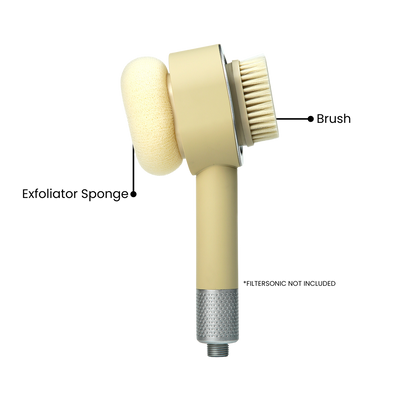 Exfoliator & Sponge®